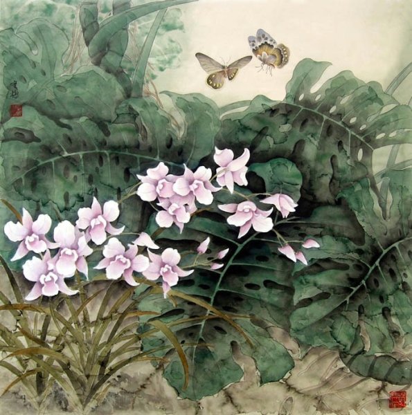 Гохуа орхидеи