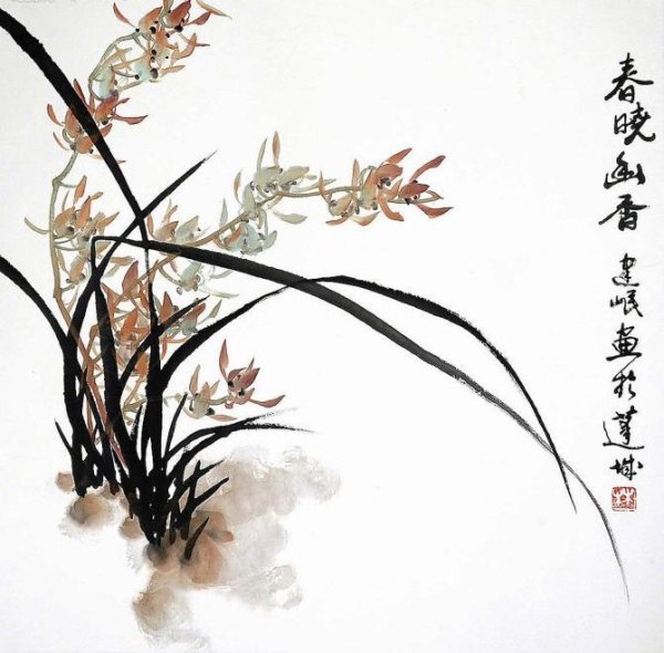 Гохуа орхидеи