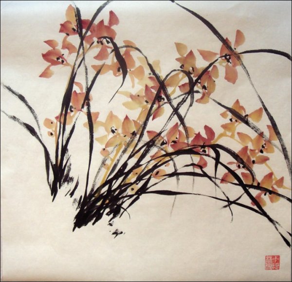 Дикая Орхидея Суми э