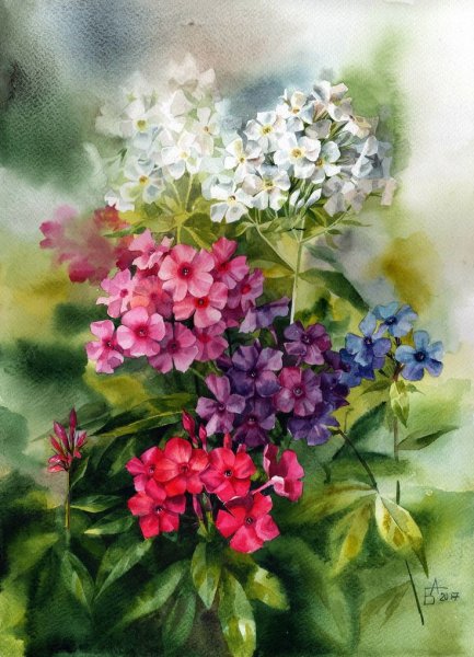 Анастасия Беседина художник акварель