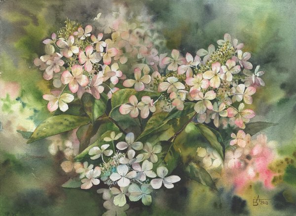 Анастасия Беседина художник