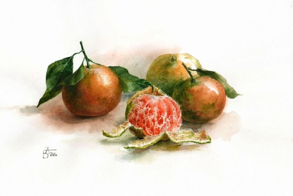 Акварель Анастасии Бесединой натюрморт