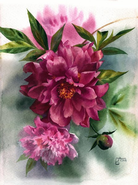 Анастасия Беседина художник акварель