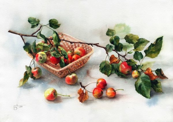 Анастасия Беседина акварель фрукты