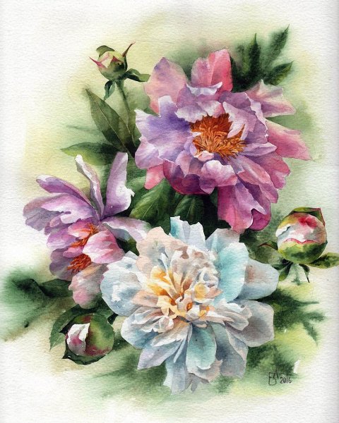 Анастасия Беседина художник