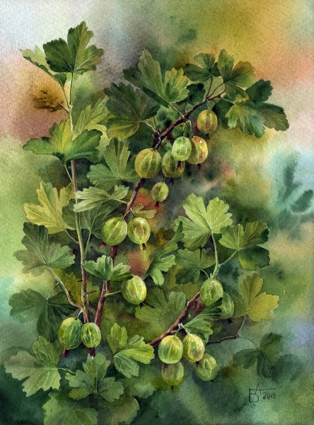 Анастасия Беседина художник