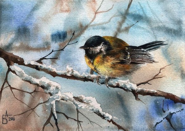 Анастасия Беседина художник картины