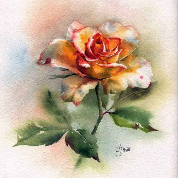 Анастасия Беседина акварель