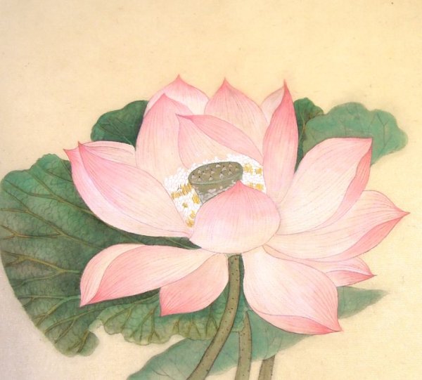 Охара Косон Лотос