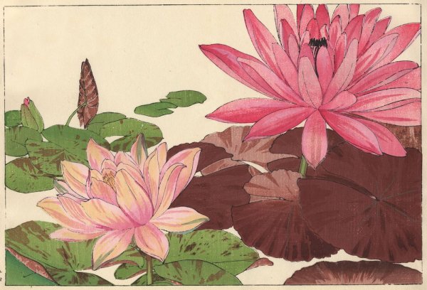 Японская гравюра цветы Конан Танигами