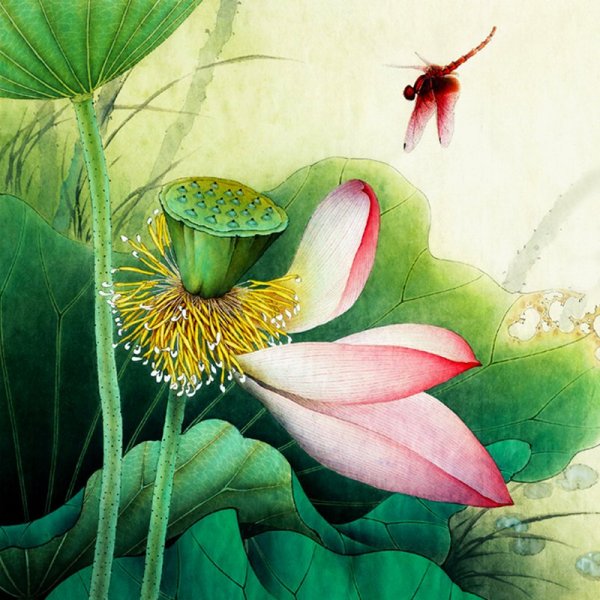 Лотос гунби Автор