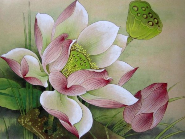 Гунби Лотос