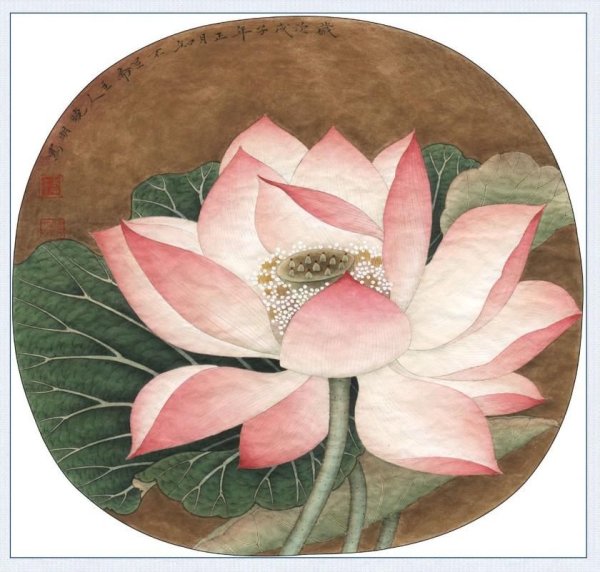 Гунби Лотос