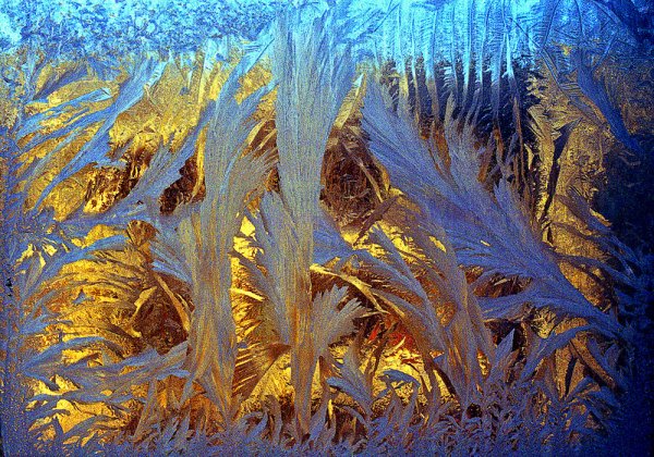 Морозное окно живопись