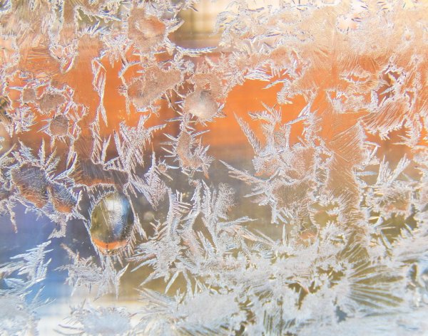 Морозное окно