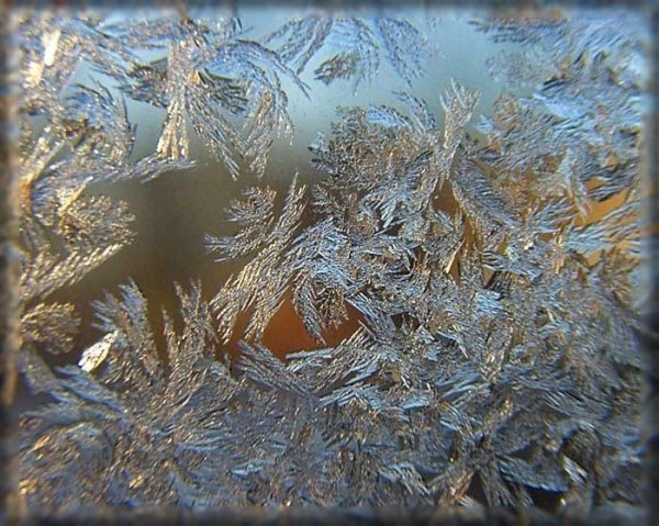 Иней на стекле