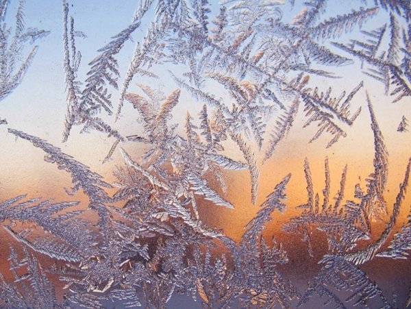 Мороз художник на окне