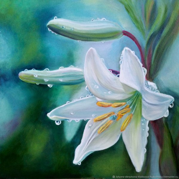 Лилия живопись маслом