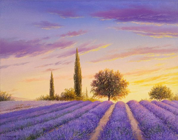 Живопись Уоллеса "лавандовый Прованс"