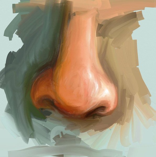 Нос красками