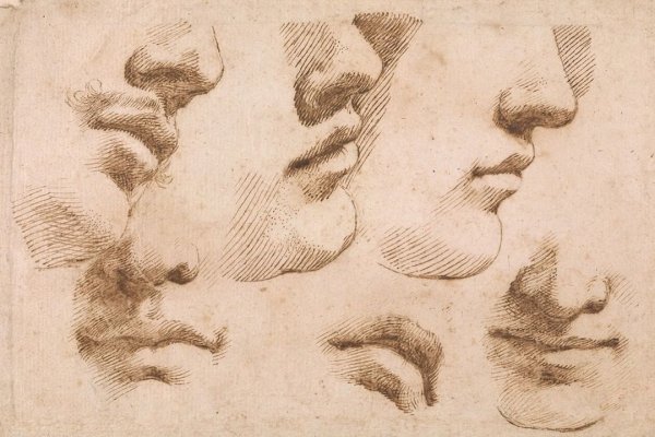 Художественной нос