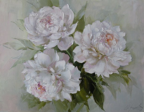 Пионы Галины Конищевой