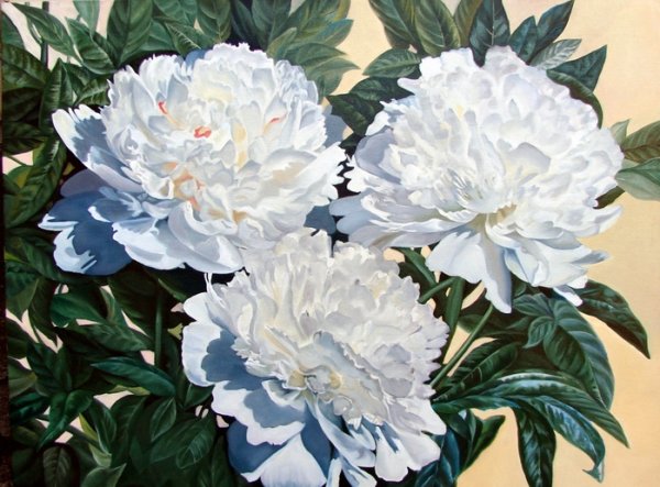 Картины надежды Кабатовой