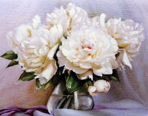 Белые пионы