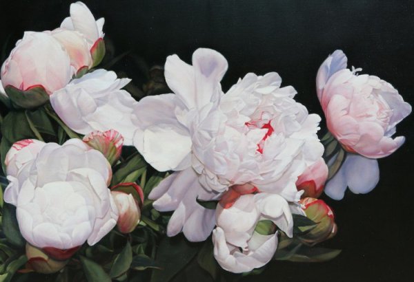 Томаса Дарнелла