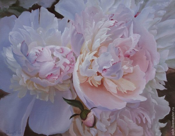 Олег Чувашев картины пионы