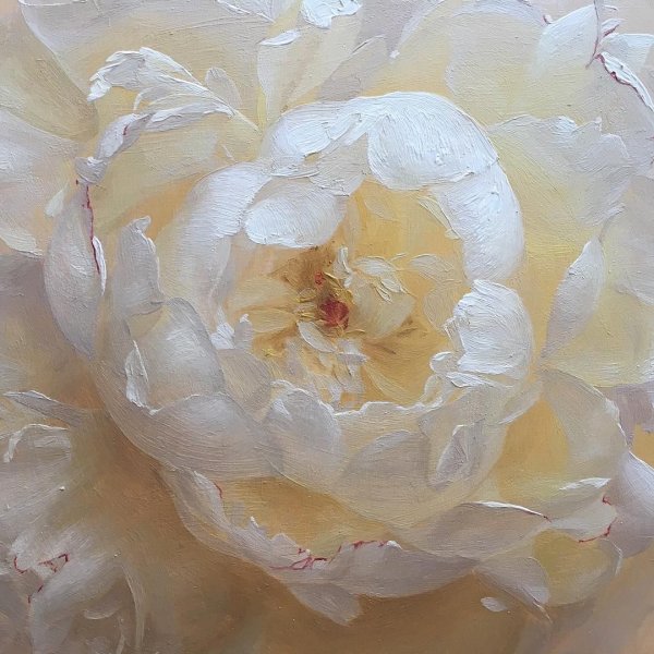 Katie g.Whipple пионы