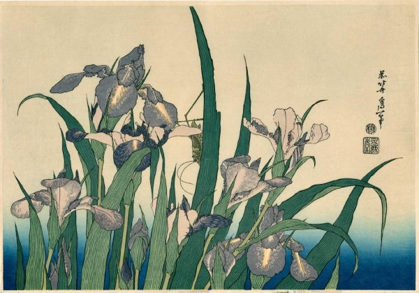 Кацусика Хокусай ирисы и кузнечик