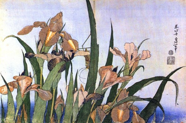 Кацусика Хокусай ирисы