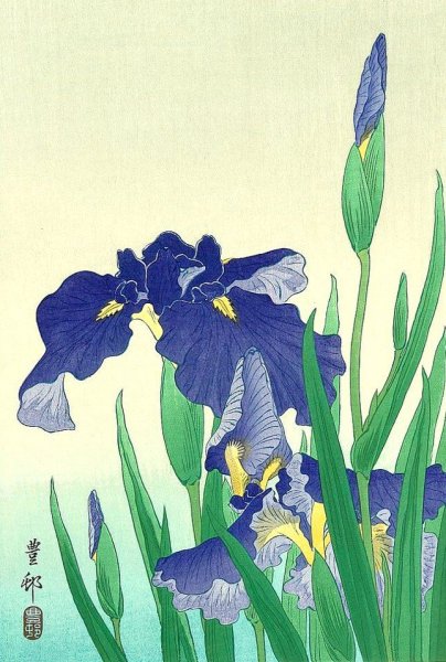 Кацусика Хокусай ирисы
