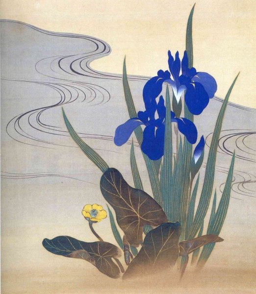 Ирисы Косон Охара