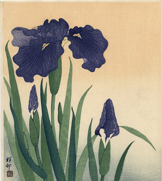 Ирис в стиле гунби