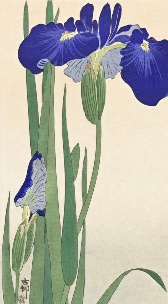 Каваразаки Шодо