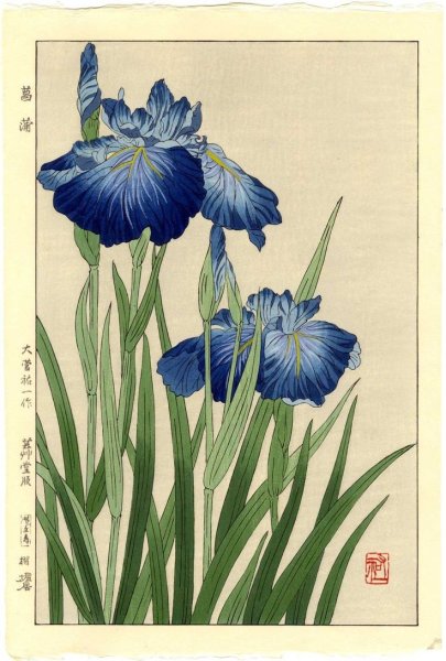 Ирис в стиле гунби