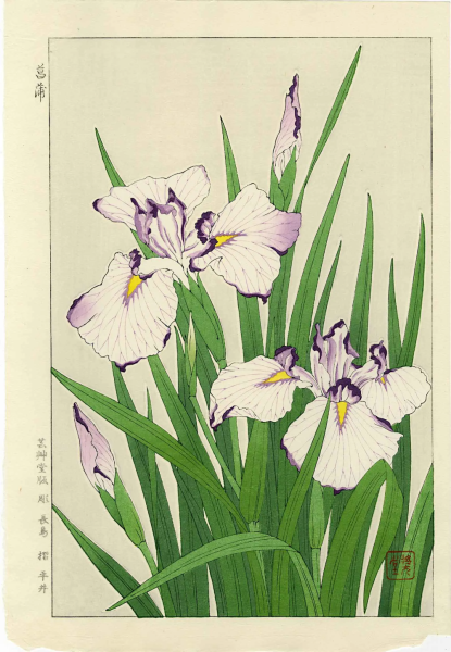 Суми-э японская живопись ирисы