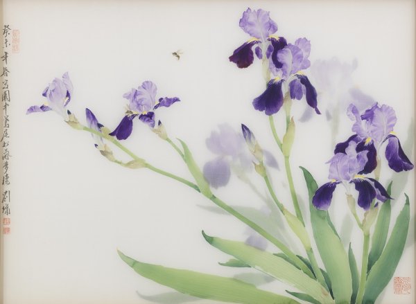Ирисы гохуа