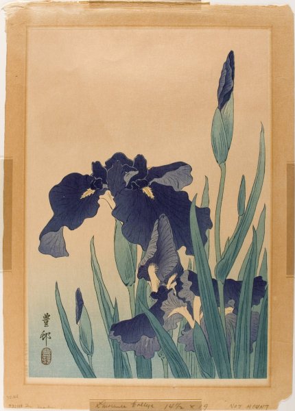 Ирисы в японском искусстве