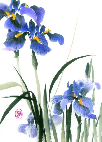 Ирис японская Ксилография