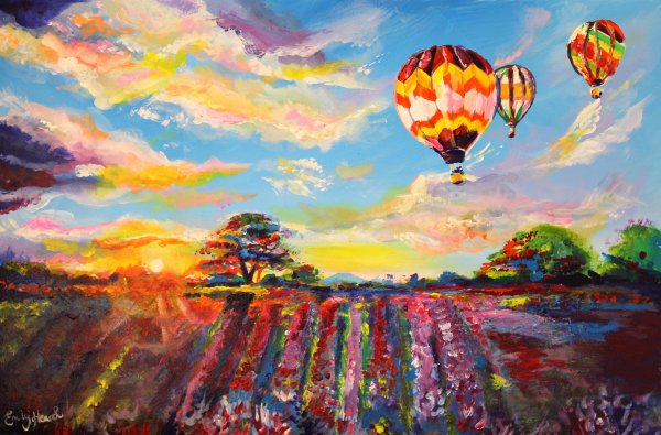 Виллем Хайенраетс (Willem Haenraets)