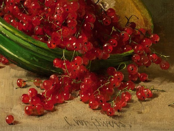 Федор толстой красная смородина