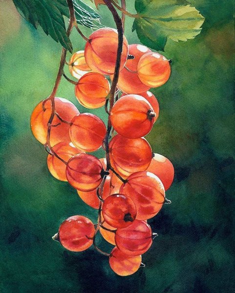 Художник Шайкина Рыбак Наталья