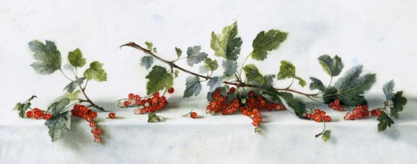 Физалис картины Марии Павловой