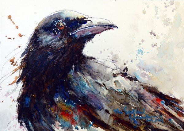 «Мудрый ворон»