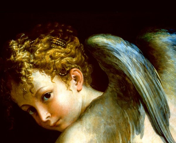 Франческо Пармиджанино Купидон