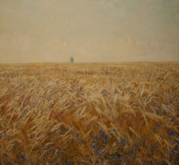 Поле Михаил Георгиевич