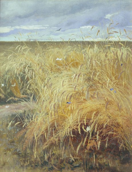 Лагода-Шишкина рожь